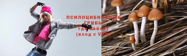 дживик Баксан